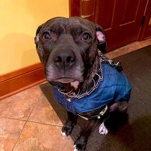 Meet your Posher, Julie